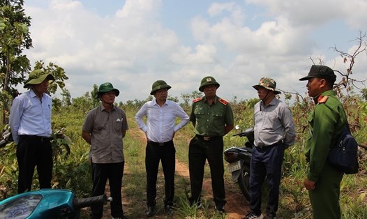 Lãnh đạo Công an tỉnh, Sở Nông nghiệp và Phát triển Nông thôn tỉnh Đắk Lắk kiểm tra hiện trường một vụ phá rừng quy mô lớn tại địa phương. Ảnh: Bảo Trung