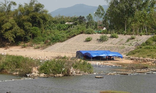 Bình Định: Sạt lở bờ sông La Tinh do người dân nuôi vịt là "tầm bậy". Ảnh: Hoài Luân