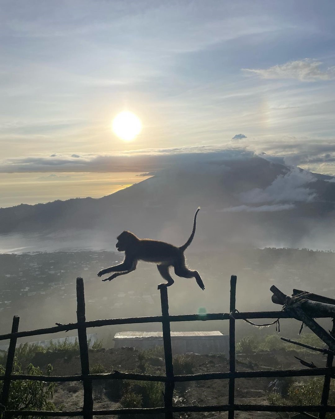 Ảnh: @vacationwithg