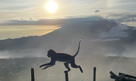 Ảnh: @vacationwithg