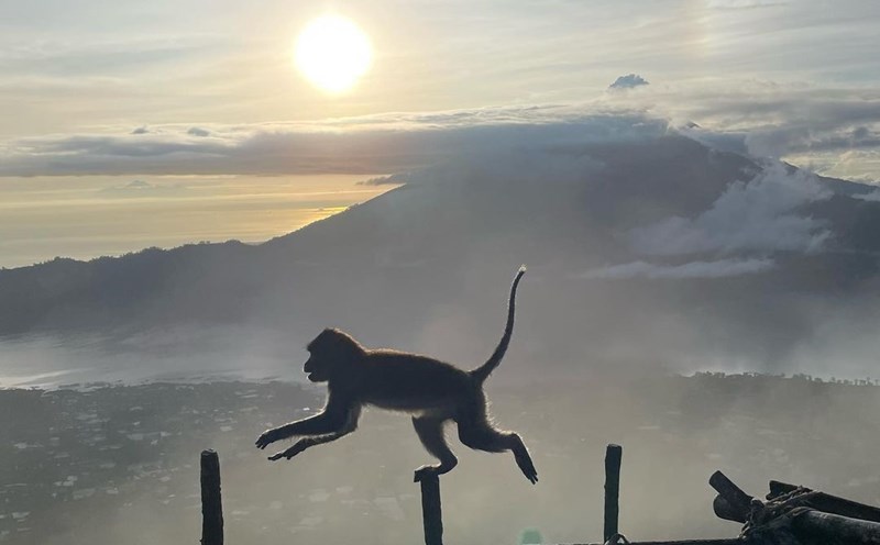 Ảnh: @vacationwithg