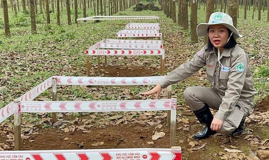 Chị Nguyễn Thị Diệu Linh tại hiện trường tìm kiếm bom mìn ở xã Hải Thái, huyện Gio Linh, tỉnh Quảng Trị. Ảnh: Hàn Nguyên.