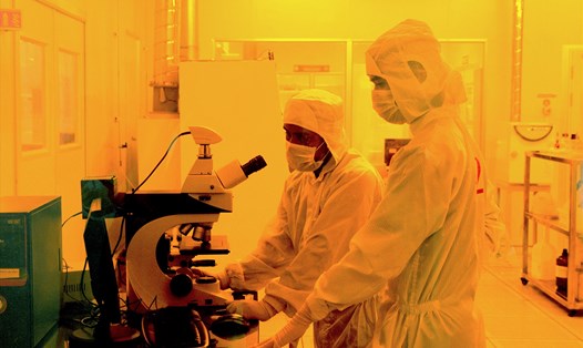 Các nhà khoa học đã nghiên cứu phát triển công nghệ nano từ vi khuẩn để "đánh hơi" bệnh tật trong cơ thể con người. Ảnh: AFP