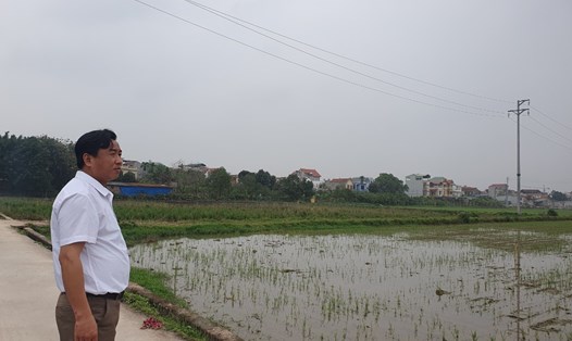 Khu vực đất tái định cư phục vụ giải phóng mặt bằng Vành đai 4 tại xã Văn Bình, huyện Thường Tín. Ảnh: Phạm Đông