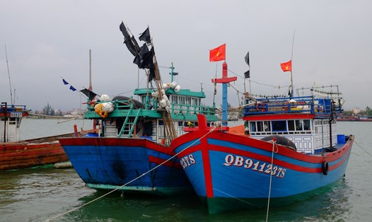 Quảng Bình sẽ giao trách nhiệm cho các địa phương cấp xã trở lên tăng cường vận động ngư dân thực hiện chống khai thác IUU. Ảnh: VGP