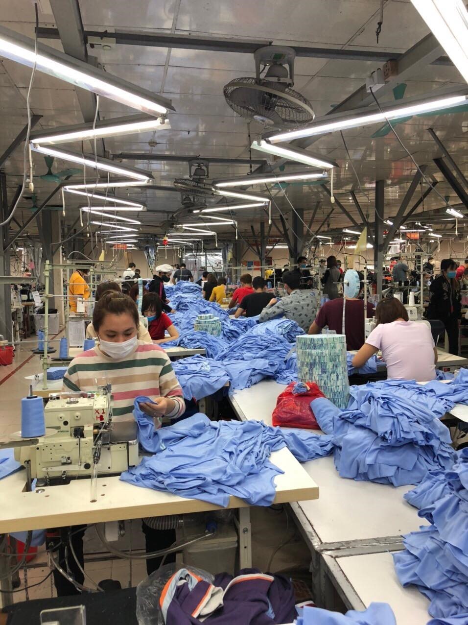 Tăng cường khám sức khỏe bệnh nghề nghiệp cho công nhân may. Ảnh minh họa: Quế Chi