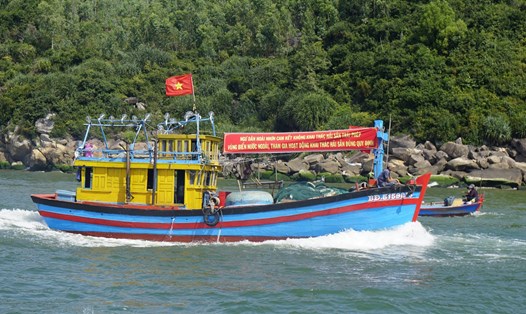 Tàu cá của ngư dân thị xã Hoài Nhơn, tỉnh Bình Định.   Ảnh: Hoài Luân