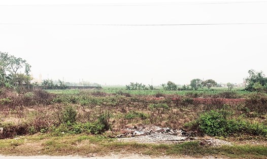 Hơn 12 năm, tỉnh Thái Bình chưa thu hồi được đất của Công ty Thiện Tâm là hơn 12 năm 8 người dân ở huyện Tiền Hải phải chật vật đi đòi nợ công ty này. Ảnh: Bá Dương