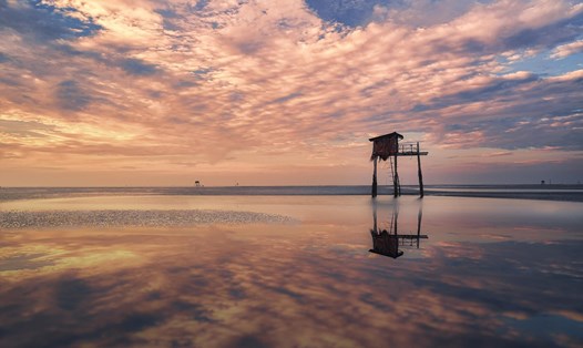 Biển Cần Giờ như chiếc gương khổng lồ lúc bình minh. Ảnh: My Tour