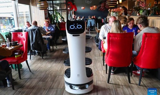 Robot phục vụ các món ăn tại một nhà hàng ở Sint-Niklaas, East Flanders, Bỉ. Ảnh: Xinhua