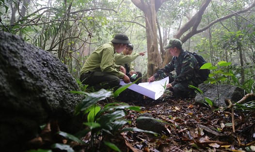 Lực lượng Kiêm lâm tăng cường tần suất tuần tra rừng để kịp thời phát hiện những trường hợp vi phạm. Ảnh: Văn Trực