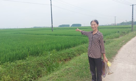 Bà Nguyệt ở xã Thạch Liên sẵn sàng cho kế hoạch sẽ bị thu hồi 3 sào ruộng phía trước của gia đình để triển khai đầu tư xây dựng khu công nghiệp VSHIP. Ảnh: Trần Tuấn