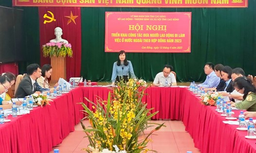 Bà Nguyễn Thị Xuân - Phó giám đốc Sở Lao động - Thương binh và Xã hội phát biểu tại hội nghị. Ảnh: Sở LĐTBXH tỉnh Cao Bằng.