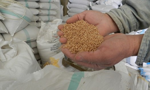 Sản phẩm ngũ cốc của Ukraina. Ảnh: Xinhua