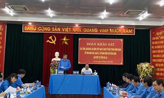 Ông Trần Thanh Hải - Phó Chủ tịch thường trực Tổng liên đoàn LĐVN phát biểu tại buổi làm việc. Ảnh Thanh Tuấn
