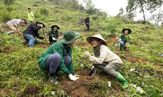 Bà Holly Bostock, Giám đốc Ngoại vụ Cấp cao HEINEKEN Việt Nam tham gia hoạt động trồng cây tại Vườn quốc gia Xuân Sơn. Ảnh: Doanh nghiệp cung cấp