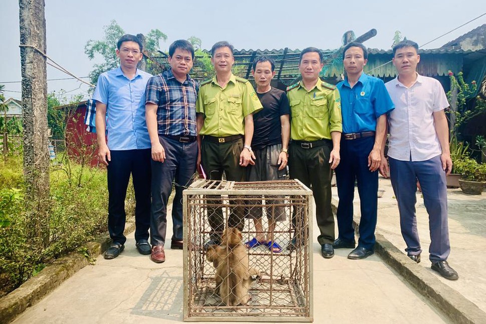 Anh Việt (áo đen) giao nộp 2 cá thể khỉ cho Vườn Quốc gia Vũ Quang để thả về tự nhiên. Ảnh: Huyền Trang