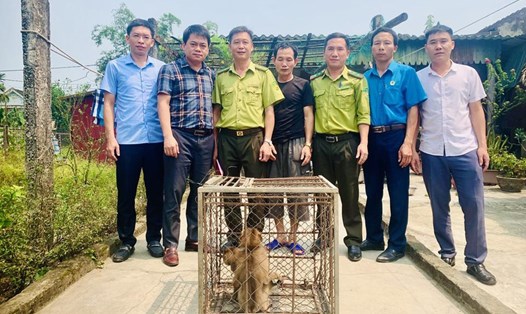 Anh Việt (áo đen) giao nộp 2 cá thể khỉ cho Vườn Quốc gia Vũ Quang để thả về tự nhiên. Ảnh: Huyền Trang
