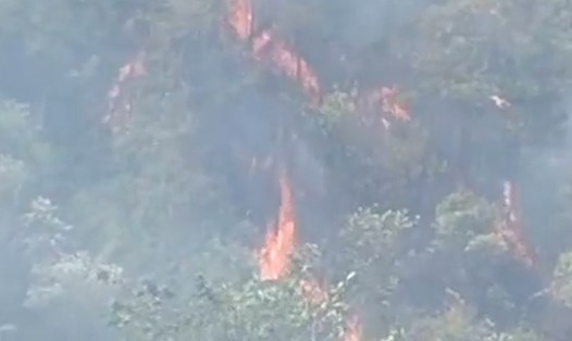 Hiện trường vụ cháy rừng tại huyện Sìn Hồ, tỉnh Lai Châu. Ảnh: Người dân cung cấp