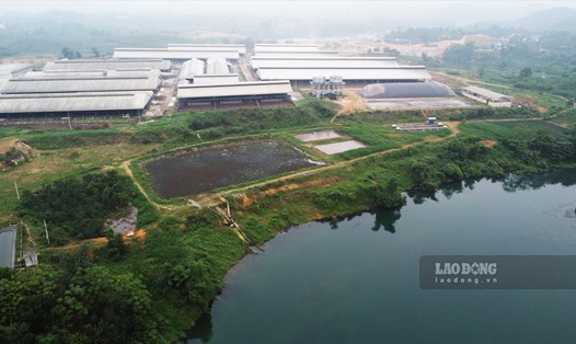 Trang trại bò sữa quy mô hơn 2.000 con tại Yên Sơn, Tuyên Quang liên tục bị người dân tố gây ô nhiễm môi trường. Ảnh: Việt Bắc