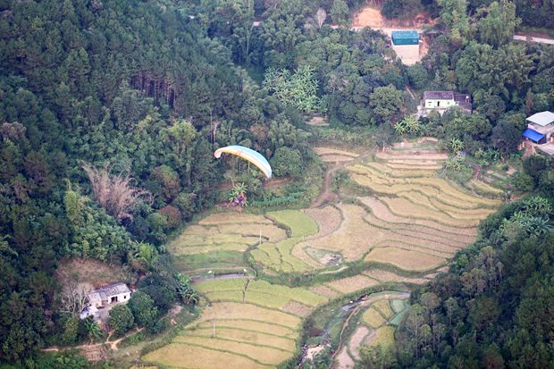 Trải nghiệm bay trên mùa vàng Bình Liêu (Quảng Ninh). Ảnh: TTXVN