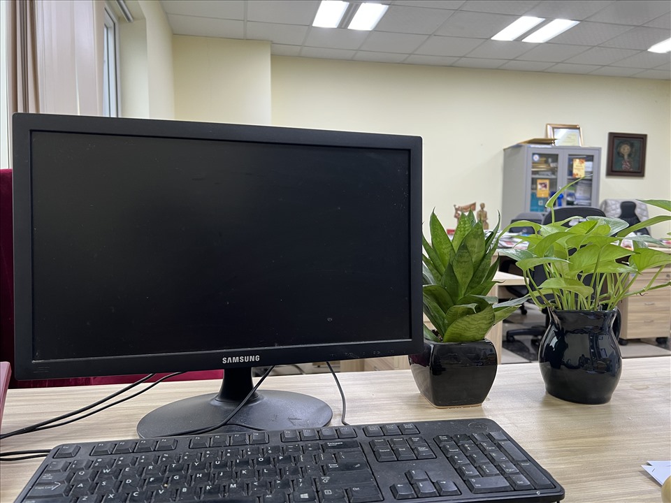 Cây xanh trên bàn làm việc giúp mắt thư giãn. Ảnh: Kiều Vũ