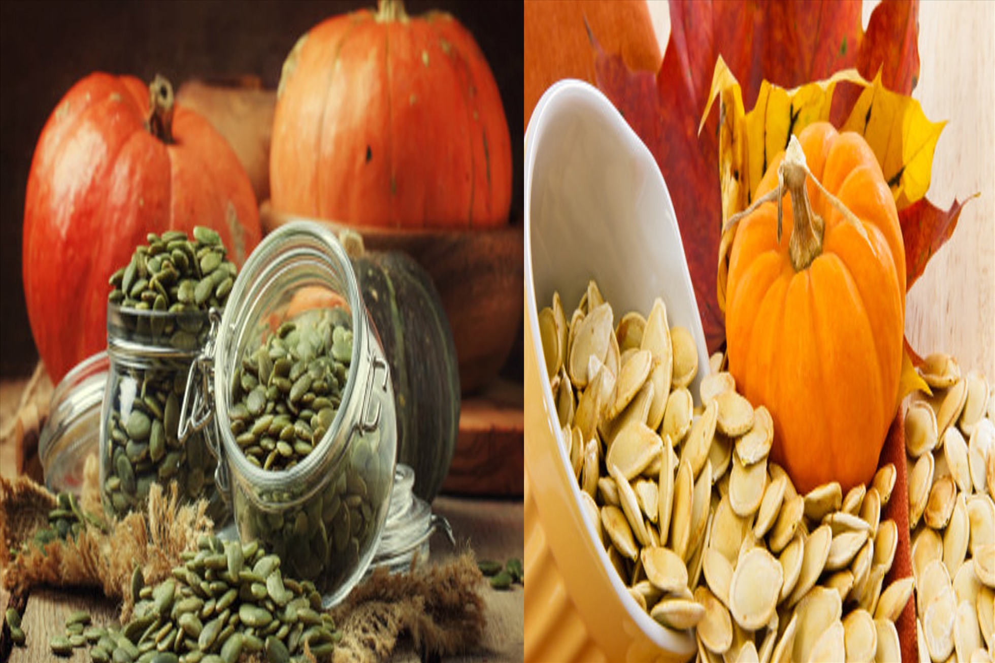 Hàm lượng axit linoleic cao trong hạt bí ngô có thể hạ đường huyết hiệu quả. Đồ hoạ: Hạ Mây