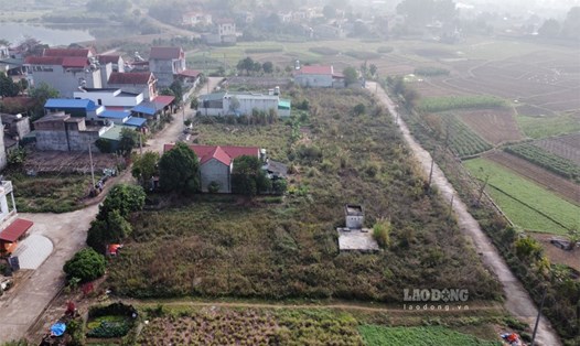 Nghịch lý dân có nhu cầu nhưng hàng chục lô đất tại khu tái định cư bị đem bán đấu giá. Ảnh: Nguyễn Hoàn.