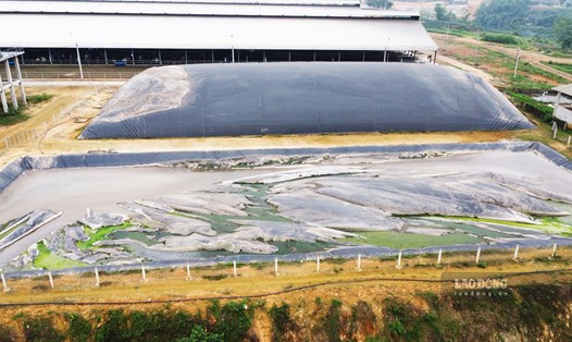 Trại bò sữa hơn 2.000 con của Công ty CP Hồ Toản dù đã từng bị xử phạt vi phạm môi trường nhưng vẫn bị người dân phản ánh gây ô nhiễm.