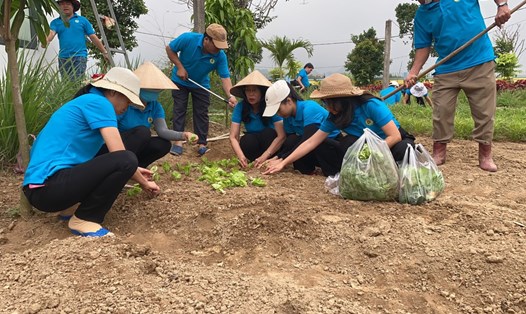 Công đoàn Hội Nạn nhân chất độc da cam thành phố Đà Nẵng tổ chức lễ ra quân xây dựng công trình vườn rau sạch. Ảnh: Trà Vân