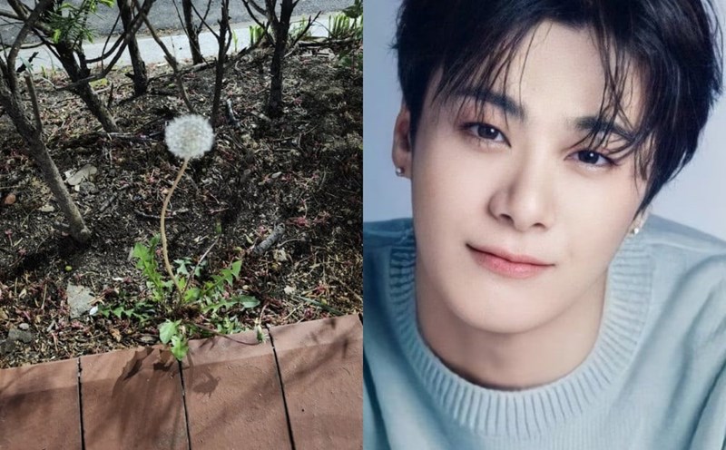 Nhìn từ vụ Moonbin qua đời: Thần tượng Kpop đang bị vắt kiệt
