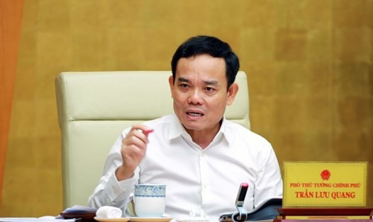 Phó Thủ tướng Chính phủ Trần Lưu Quang phát biểu tại hội nghị. Ảnh: VGP