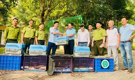 Cán bộ Vườn Quốc gia Vũ Quang tiếp nhận 150 cá thể động vật hoang dã để thả về tự nhiên. Ảnh: Trần Tuấn.