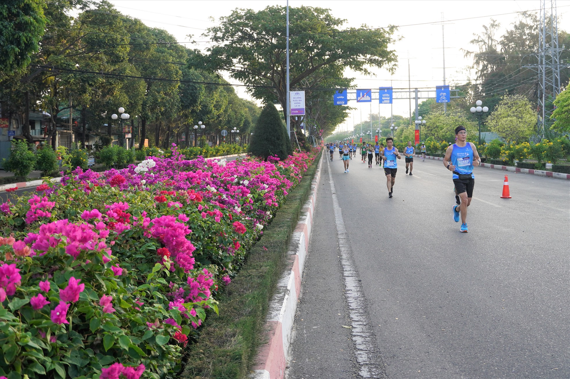 Một cung đường chạy khá đẹp với một bên là hoa giấy, một bên là hoa chuông vàng. Ảnh: Thành An