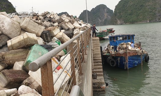 Các tàu chở phao xốp thu gom được trên vịnh Hạ Long hối hả cập cảng Bến Đoan. Ảnh: Nguyễn Hùng