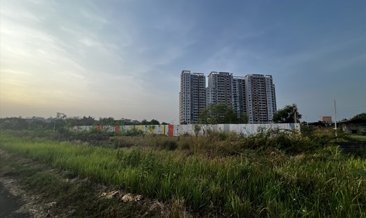 Dự án Haus Belo sau 4 năm vẫn chỉ là bãi đất cỏ mọc um tùm. Ảnh: Bảo Chương