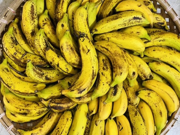 Chuối là một loại quả giàu kali tốt cho người huyết áp cao. Ảnh: Nguyễn Hồng Thúy