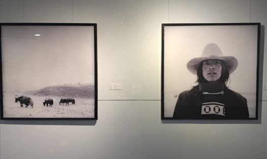 Một số tác phẩm với chủ đề "Mê Kông - Chuyện đôi bờ" được trưng bày tại Bảo tàng Mỹ Thuật Đà Nẵng. Ảnh: Nguyễn Linh
