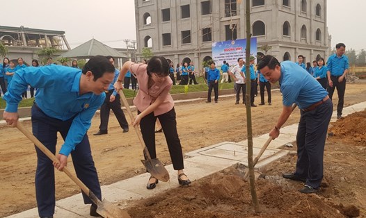 Lãnh đạo LĐLĐ tỉnh Ninh Bình tham gia trồng cây trong khuôn viên trường Trung cấp Kỹ thuật du lịch Công đoàn Ninh Bình. Ảnh: Diệu Anh