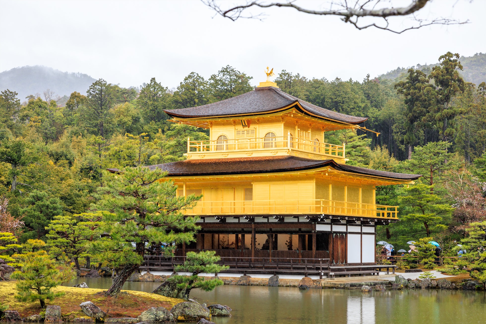 Kinkakuji - ngôi chùa thiêng dát vàng ở Nhật Bản