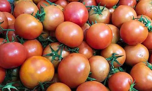 Với nhiều cách chế biến trong chế độ ăn uống, cà chua góp phần bảo vệ lá gan. Ảnh: Kiều Vũ