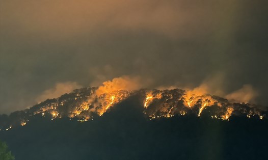 Cháy 10ha rừng tại khu vực đèo Prenn Đà Lạt. Ảnh: Hữu Long