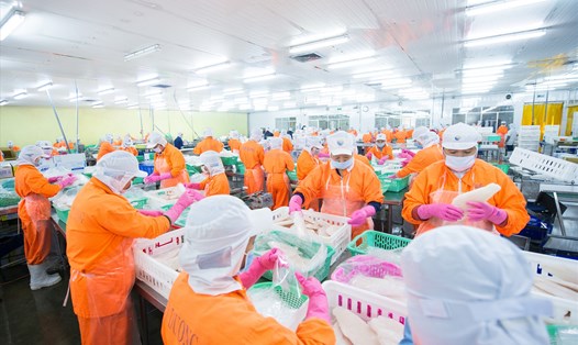 Hoạt động sản xuất kinh doanh mặt hàng thuỷ sản tại Nam Việt. Ảnh: Công ty Nam Việt