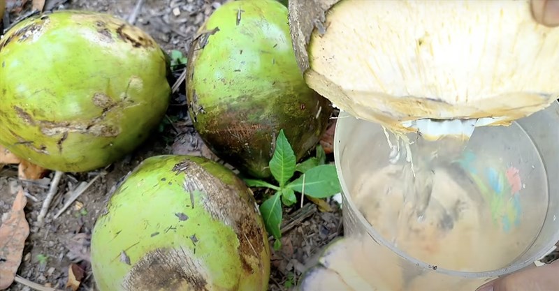 Có hiệu quả khác nhau giữa uống nước dừa tươi và nước dừa đóng hộp trong việc giảm đau bụng kinh không?

