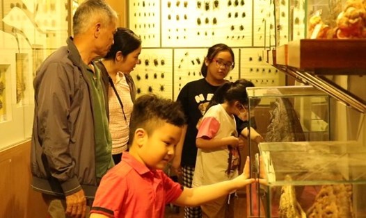 bảo tàng Thiên nhiên Việt Nam đông nghịt khách