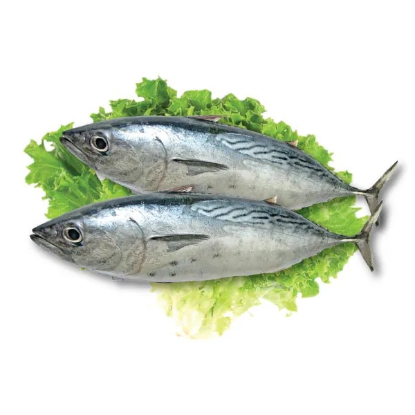 Cá là một trong những loại thực phẩm tốt cho mắt. Ảnh: Nhật Minh