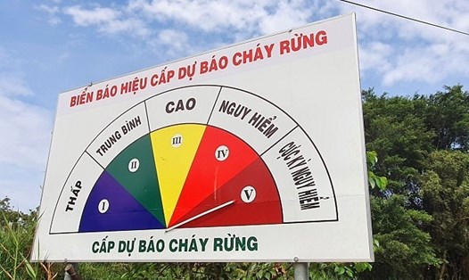 Trên 11.000 ha rừng U Minh Hạ, tỉnh Cà Mau có nguy cơ cháy bất cứ lúc nào. Ảnh: Nhật Hồ