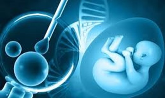 Điều trị hiến tặng ty thể sử dụng mô trứng của người hiến tặng là một phụ nữ khỏe mạnh để tạo ra phôi IVF không mắc các bệnh di truyền. Ảnh: The HealthSite