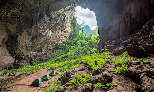 Hang Pygmy. Ảnh: Jungle Boss Tours