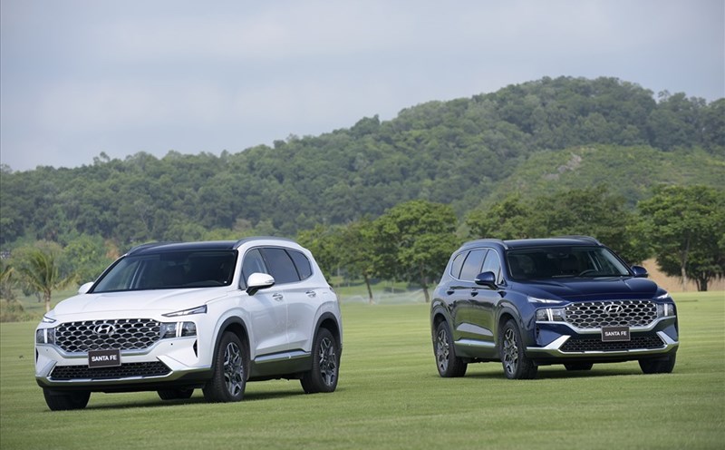 Doanh số SUV 7 chỗ tại Việt Nam: Ford Everest chiếm ưu thế khi thị trường sụt giảm